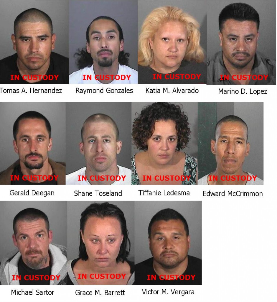 Suspects arrested include Thomas Hernandez, Raymond Gonzales, Katia M. Alvarado, Mariano D. Lopez, Gerald Deegan, Shane Toseland, Tiffanie Ledesma, Edward McCrimmon, Michael Sartor, Grace Barrett, and Victor M. Vergara. 