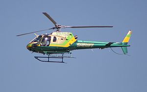 Zemanta Related Posts Thumbnail