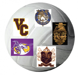 Volleyball preview