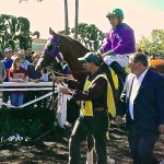 California Chrome gets ready for the Kentucky Derby.